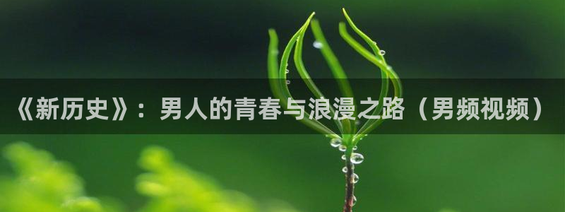 97视频人人人人人性：《新历史》：男人的青春与浪漫之路（男频视频）