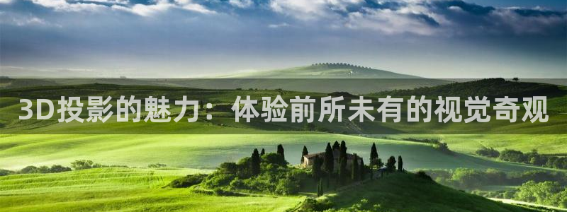 97成年影院：3D投影的魅力：体验前所未有的视觉奇观