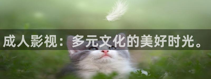 97老影院：成人影视：多元文化的美好时光。