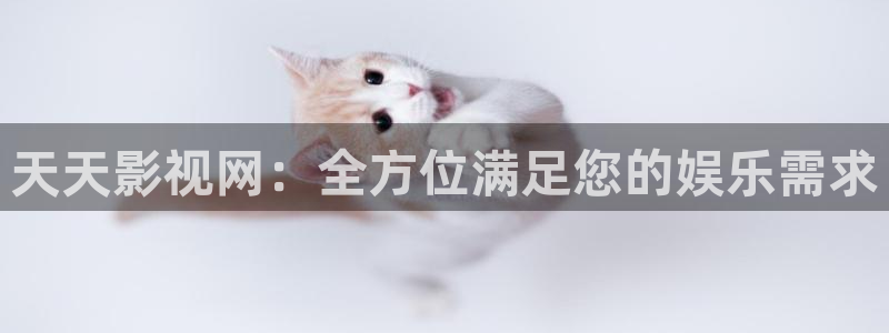 97午夜影院在线观看