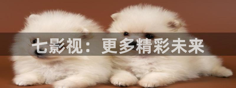 97影院：七影视：更多精彩未来